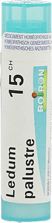 Ledum Palustre 15CH Gr 4g  -  Boiron