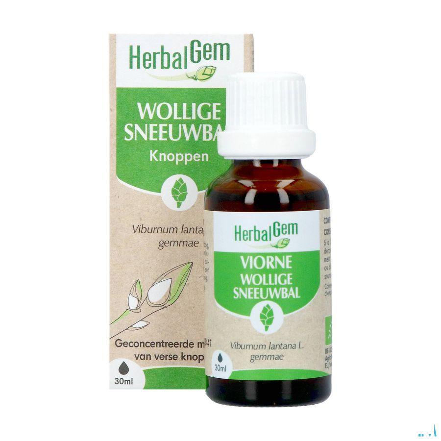 Herbalgem Viorne Bio 30 ml