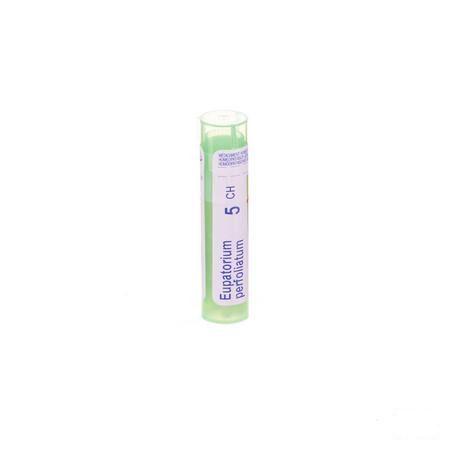 Eupatorium Perfoliatum 5CH Gr 4g  -  Boiron