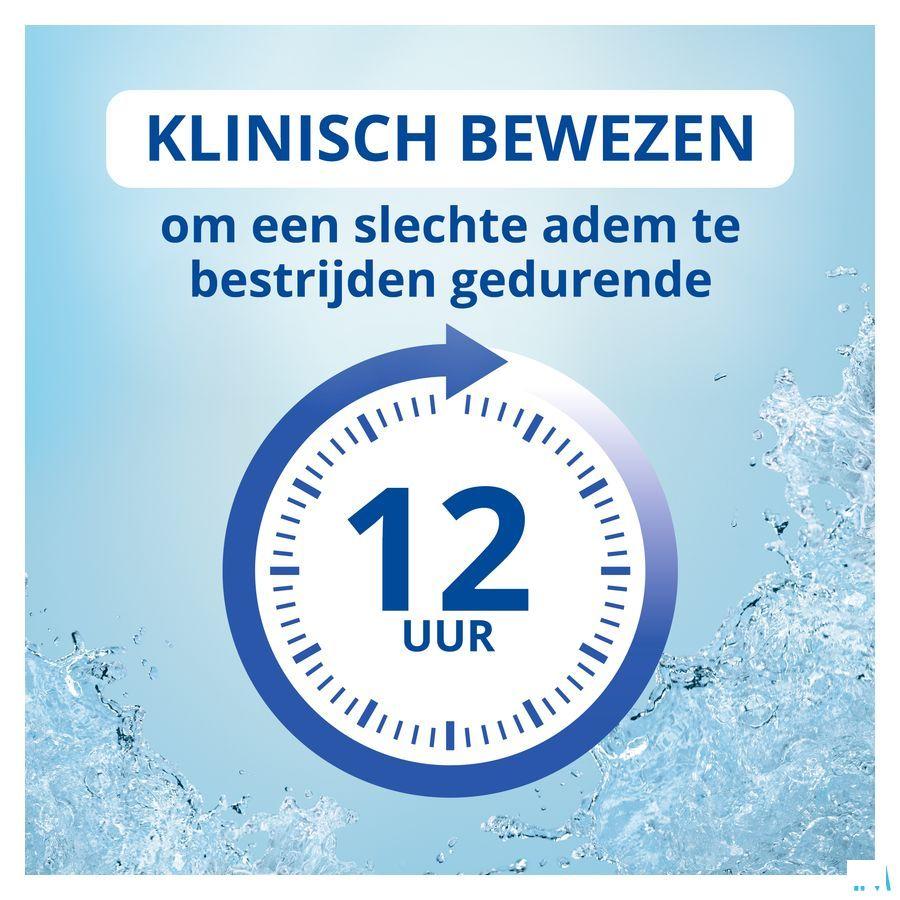 Cb12 Mint Menthol Alcoholvrij 250ml  -  Meda Pharma