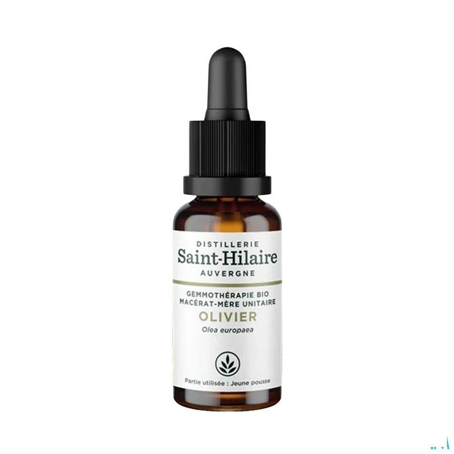Olijfboom Glyc.mac 30 ml  -  Bioholistic Diffusion