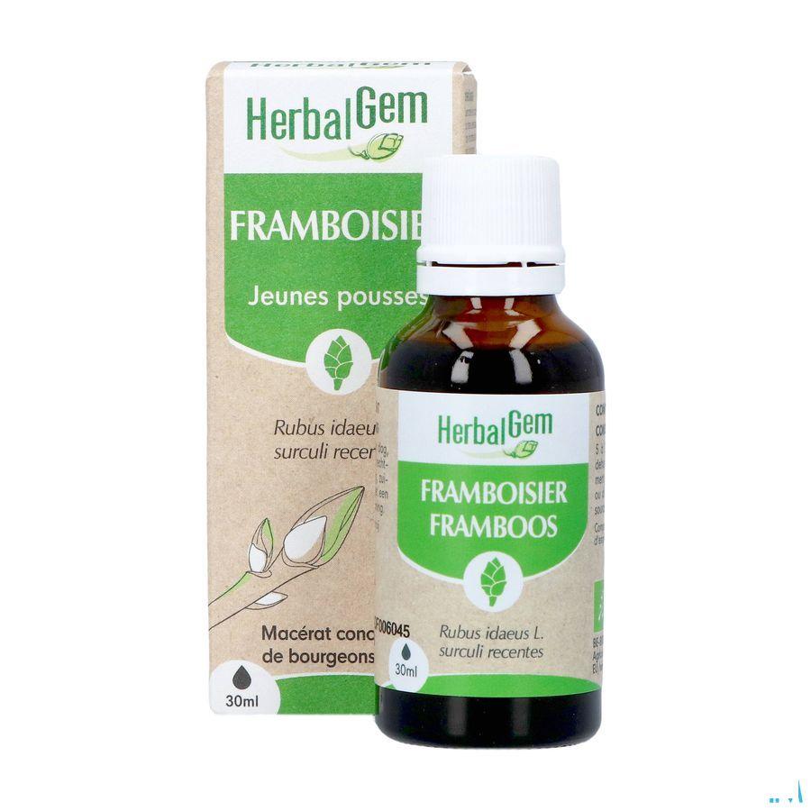 Herbalgem Frambois Bio 30 ml