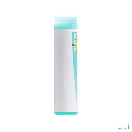 Aethusa Cynapium 200K Gl  -  Boiron