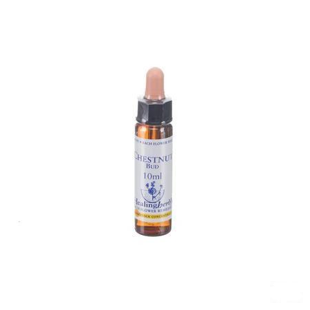 Healing Herbs Chestnut Bud 10 ml
