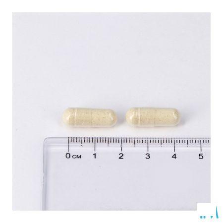Lepivits Enzyvits V-Caps 60  -  Lepivits