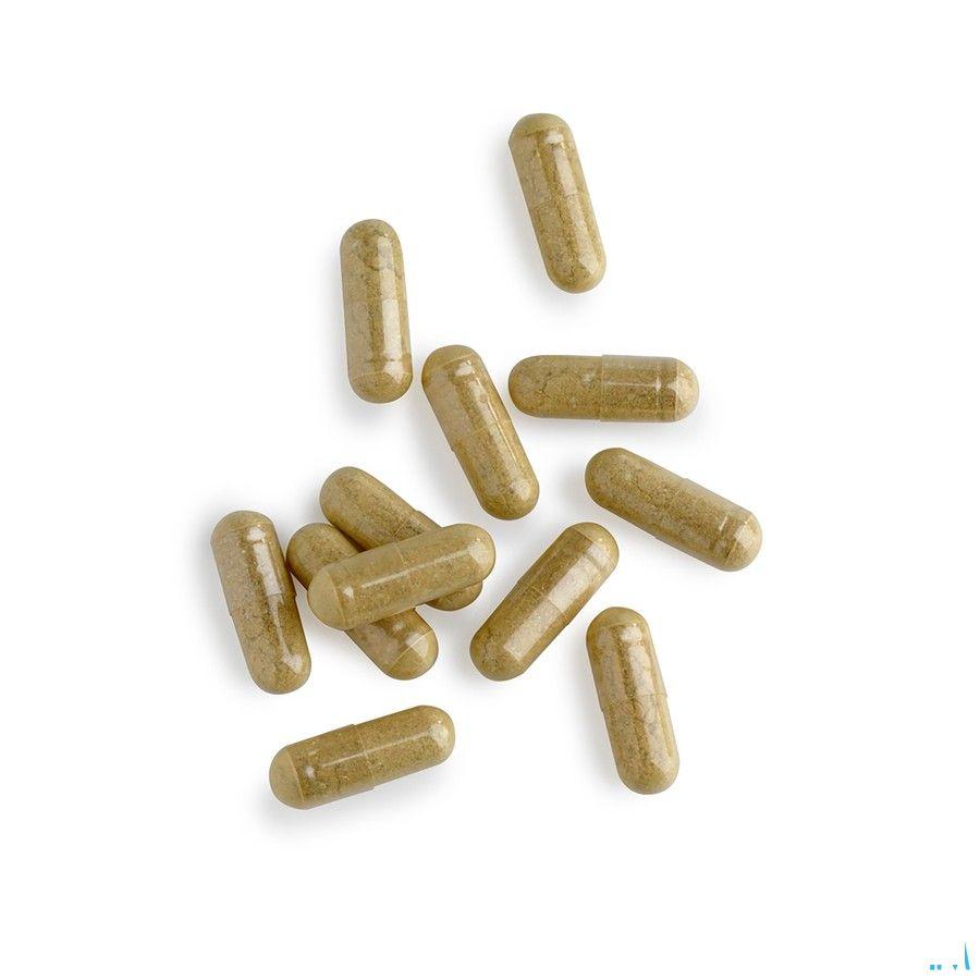 Biotics Protect Plus 90 gélules  -  Energetica Natura
