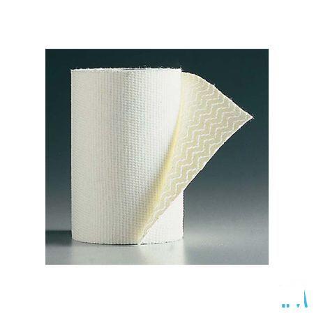 Biplast Bande Contention Adhesive Blanc 10cmx2,5m 1  -  Thuasne Benelux