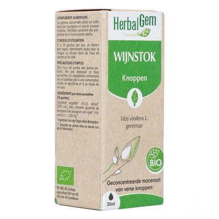 Herbalgem Vigne Bio 30 ml