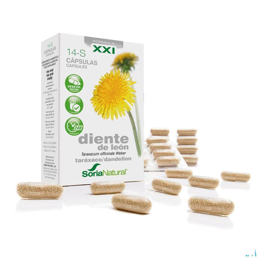 Soria 14-s Taraxacum Xxi 30 Capsule.  -  Soria Bel