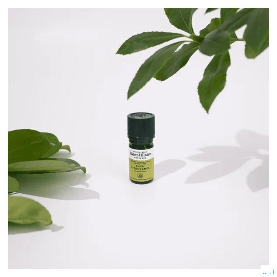 Tijm Thymol Bio Essentiele Olie 5 ml  -  Bioholistic Diffusion