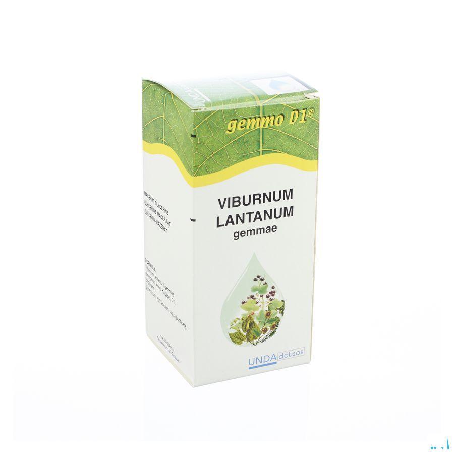 Viburnum Lant. Gemmo D1 125 ml  -  Boiron