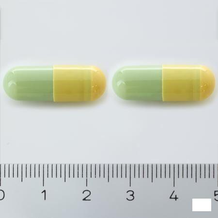 Sacchiflora 250 mg Harde Capsule 50 Blister