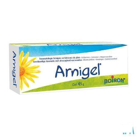 Arnigel Tube 45 gr  -  Boiron