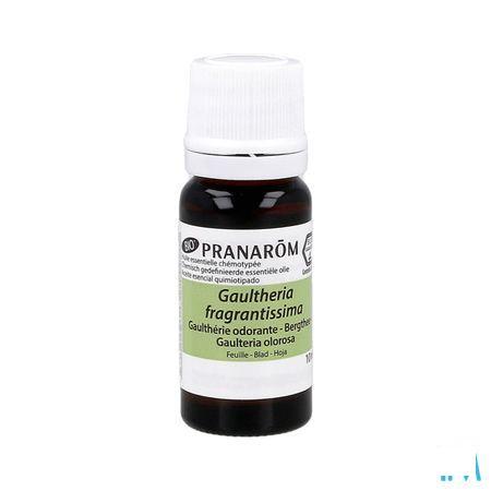 Gaultherie Odorante Bio Essentiele Olie 10 ml  -  Pranarom