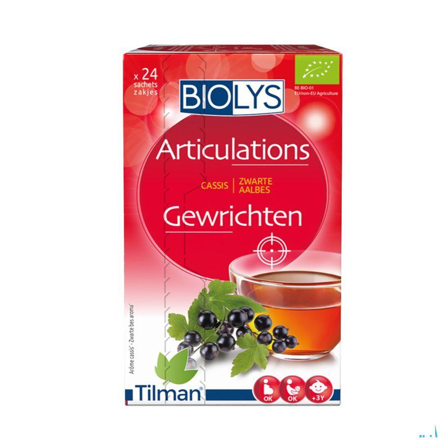 Biolys Cassis Sachets 24  -  Tilman