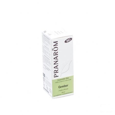 Gember Bio Essentiele Olie 5 ml  -  Pranarom