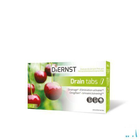 Dr Ernst Drain Tabletten 42 Tabl  -  Tilman