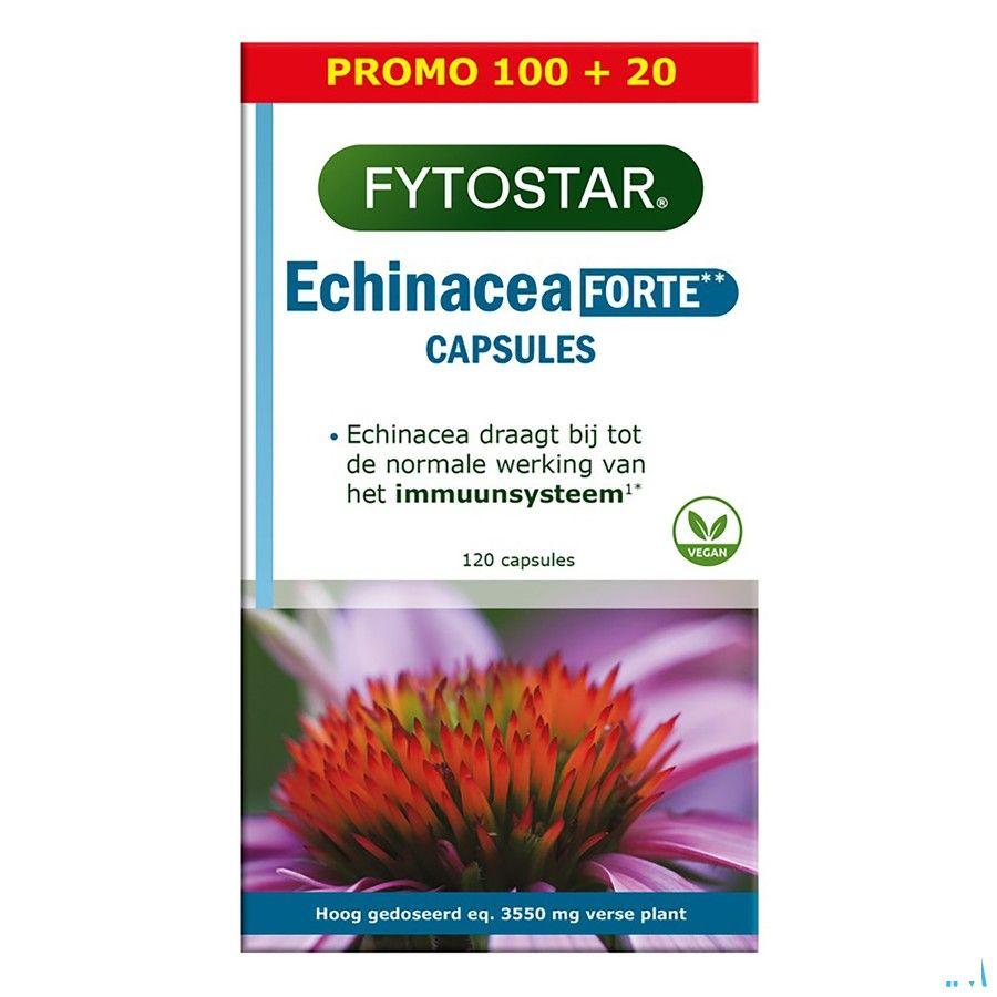 Fytostar Echinacea Forte Maxi Capsule 120  -  Ocebio