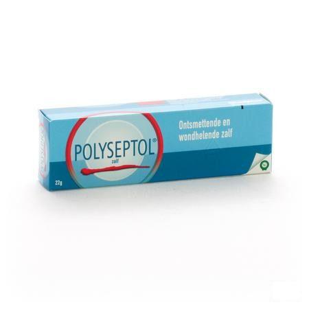 Polyseptol Pommade 22 gr 3626884