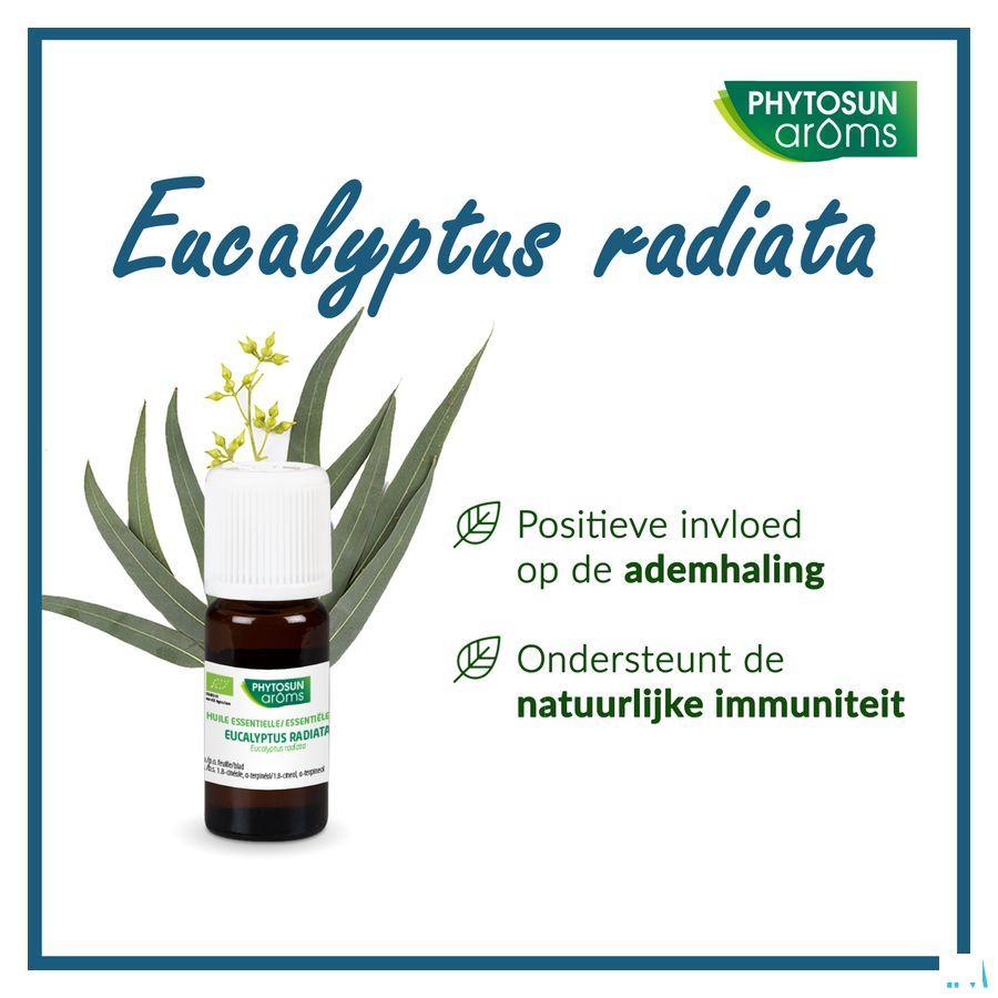 Phytosun Euc. Radiata Fr-bio-01 10 ml