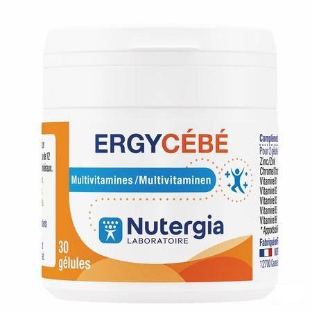 Ergycebe Multivit. Caps 30  -  Lab. Nutergia