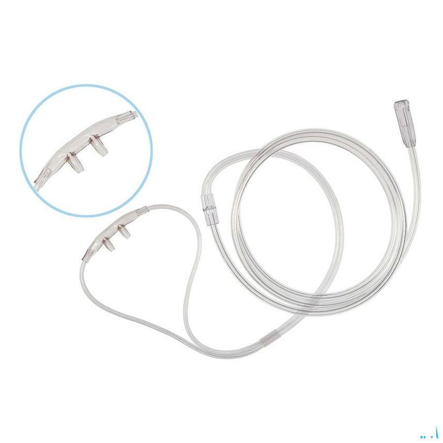 Nasale Cannula Adult Henrotech