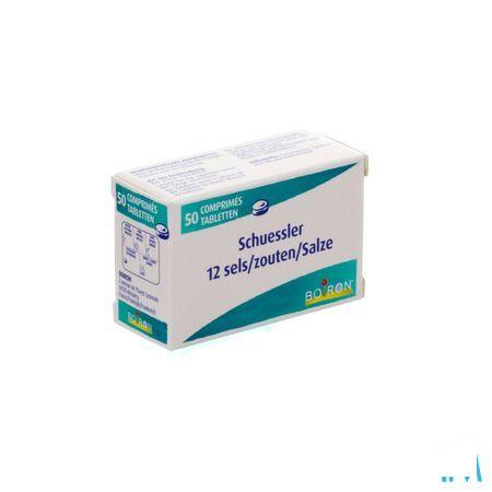 Schuessler 12 Sels 50p  -  Boiron