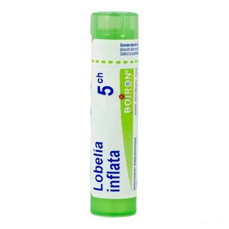 Lobelia Inflata 5CH Gr 4g  -  Boiron