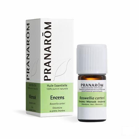 Wierook Oliban Somalie Essentiele Olie 5 ml  -  Pranarom