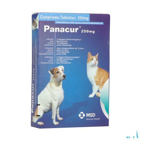 Panacur Comprimes Vet 10 X 250 mg 