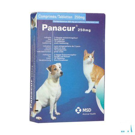 Panacur Tabletten Vet 10 X 250 mg 