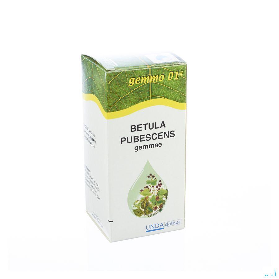 Betula Pub.gem. Gemmo D1 125 ml  -  Boiron