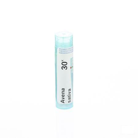 Avena Sativa 30K Gr 4g  -  Boiron