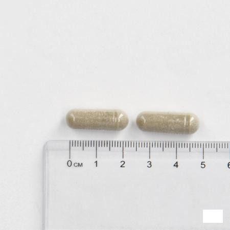 Cogniton Plus Energy Caps 90  -  Depharm