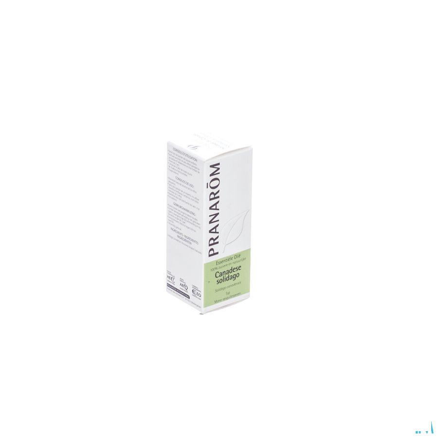 Solidage Du Canada Huile Essentielle 5 ml  -  Pranarom