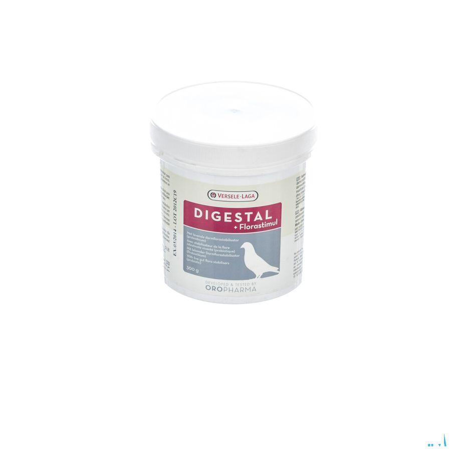 Digestal Poeder Pot 300 gr