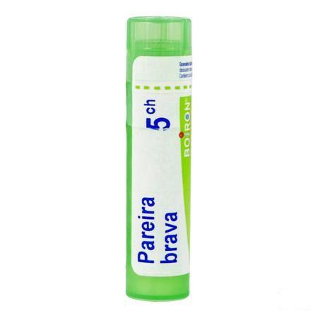 Pareira Brava 5CH Gr 4g  -  Boiron