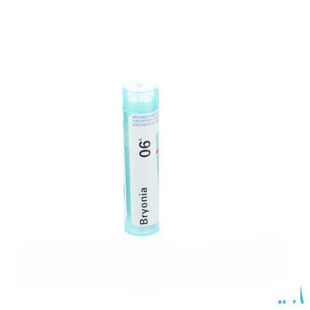 Bryonia 6k Gr 4g  -  Boiron