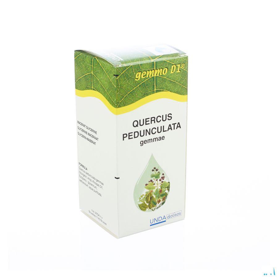 Quercus Ped.gem.gemmo D1 125 ml  -  Boiron