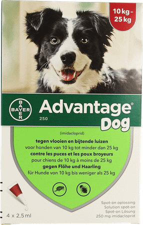 Advantage 250 Honden 10