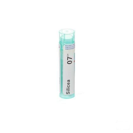 Silicea 7CH Gr 4g  -  Boiron