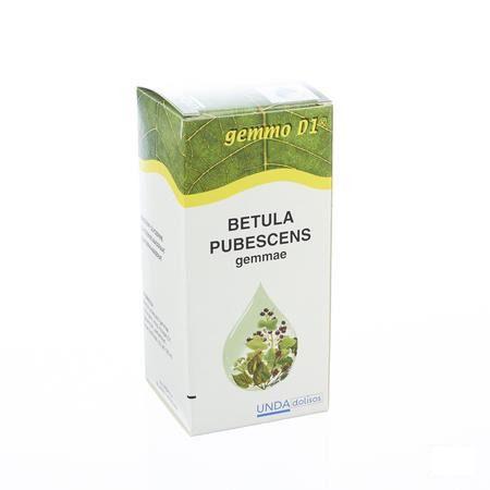 Betula Pub.gem. Gemmo D1 125 ml  -  Boiron