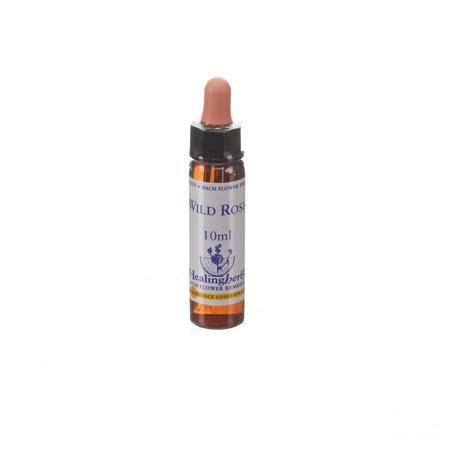 Healing Herbs Wild Rose 10 ml