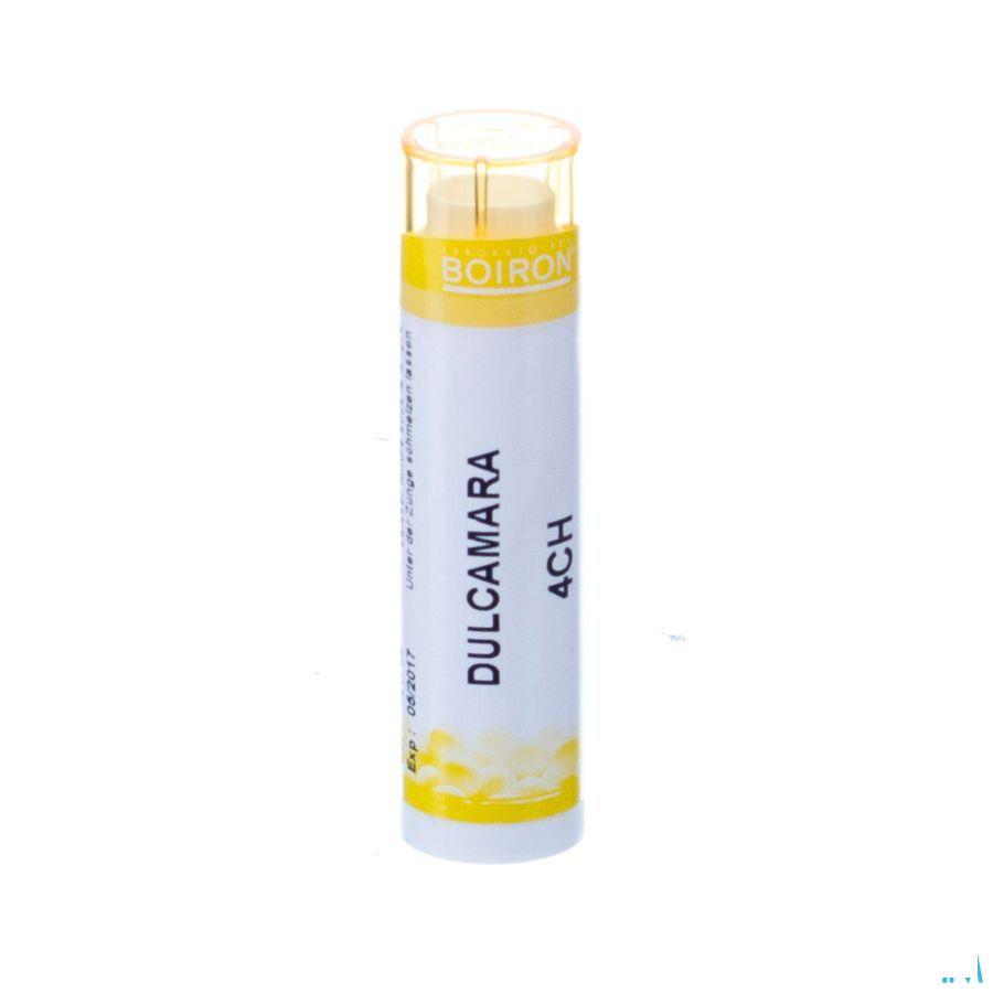 Dulcamara 4ch Gr  -  Boiron
