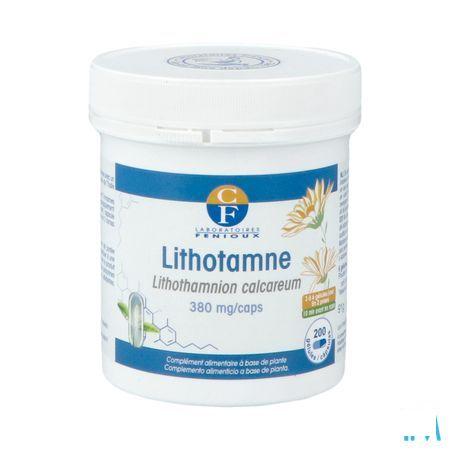 Lithotame Capsule 200  -  Fenioux