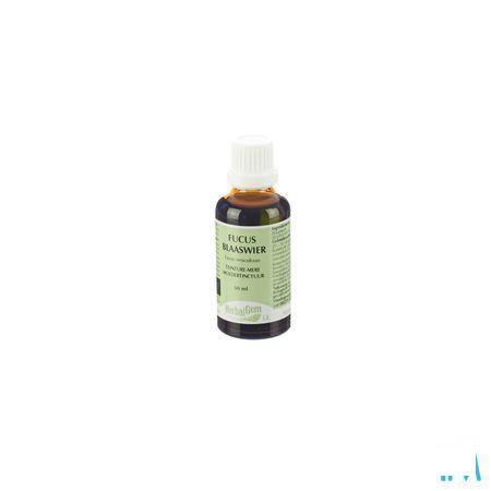 Herbalgem Fucus Vesicul. Tm 50 ml  -  Herbalgem