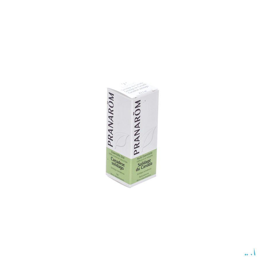 Solidage Du Canada Huile Essentielle 5 ml  -  Pranarom