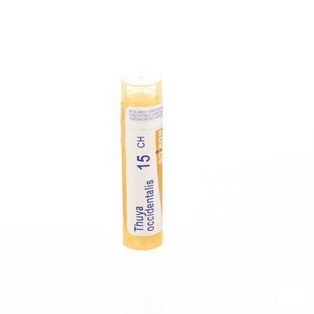 Thuya Occidentalis 15CH Gr 4g  -  Boiron