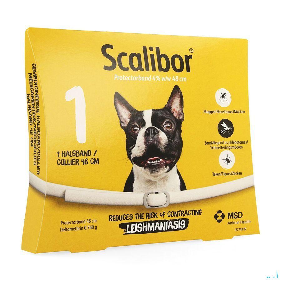 Scalibor Collier 48Cm Chien