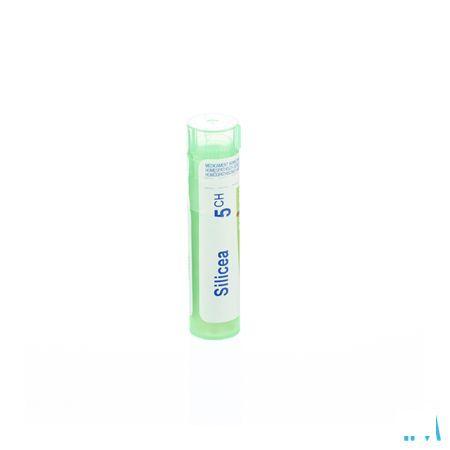 Silicea 5CH Gr 4g  -  Boiron